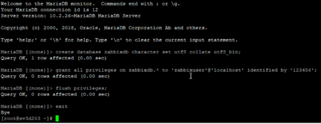image-17 Zabbix Monitoring