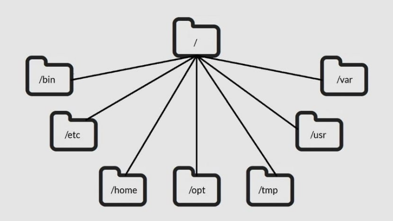 image-2 Cấu trúc thư mục Linux